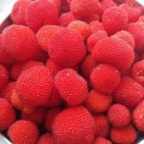 小小的太阳