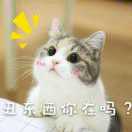 如梦似幻229