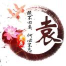 飞龙在天