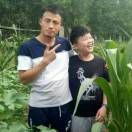 发芽的石头