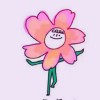 小羽卒™