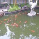 李晓春
