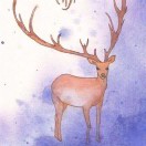 子木18
