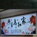 小油甘