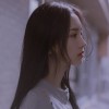 琴剑༒雪月