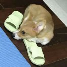 瀚