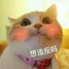 生死皆闲事