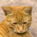 手中沙