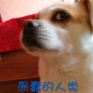 wusi