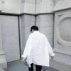 冻死的、企鹅