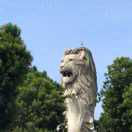 马大哈，贺不转