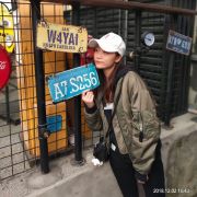 等森林的鱼