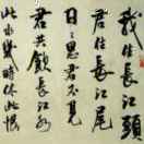 天之涯