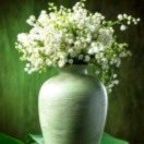 未闻花名