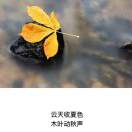 大脑腐