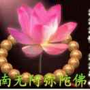 菩提树下