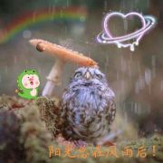 老李家公子
