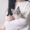 微  笑 