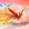 (_灬鳳逑凰、