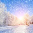 雪纷飞，带回一叶春