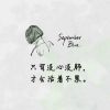 一只喵喵啊
