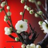 爆风雨的开始