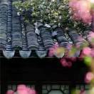 小雨