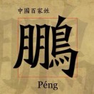 鹏鹏