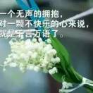 阳航