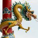德云知音
