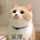 溜了溜了跑路