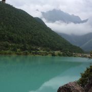 YOHO2006