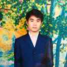 杨木易