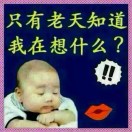 小黎