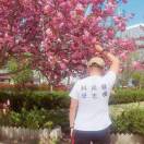 钢牙骆驼 青春万岁