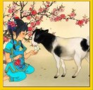 一帆风顺