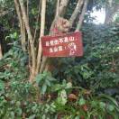 好久不见