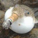 彩色沙漠