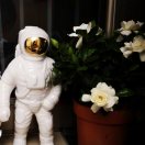 宇宙小毛球