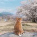 派大辛巴达