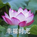 开心每一天