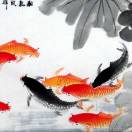 风雨征程