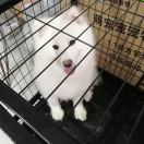 韩涛