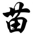 大苗