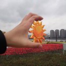 薰衣草下的阳光