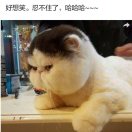 九叔  南华~道海～匹夫不可夺志！