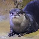 天下供主_夏七两
