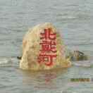 白桦林中小雨点