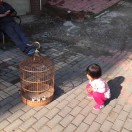 月光疾风
