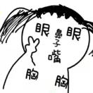 lin姑娘
